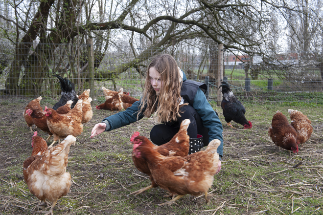 Natuurcentrum Arnhem - Tour met de boer